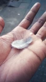 Close-up of hand holding leaf