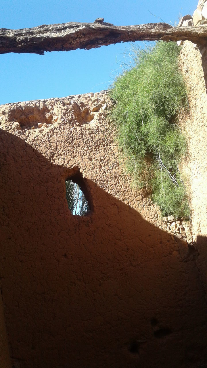 CLOSE-UP OF WALL AGAINST TREES