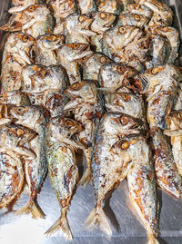 High angle view of fish for sale in market