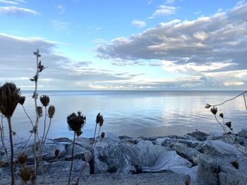 Scenic view of sea against sky