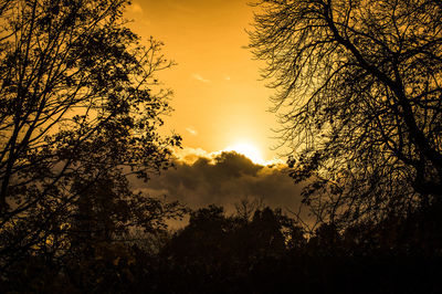 Silhouette trees against dramatic sky during sunset