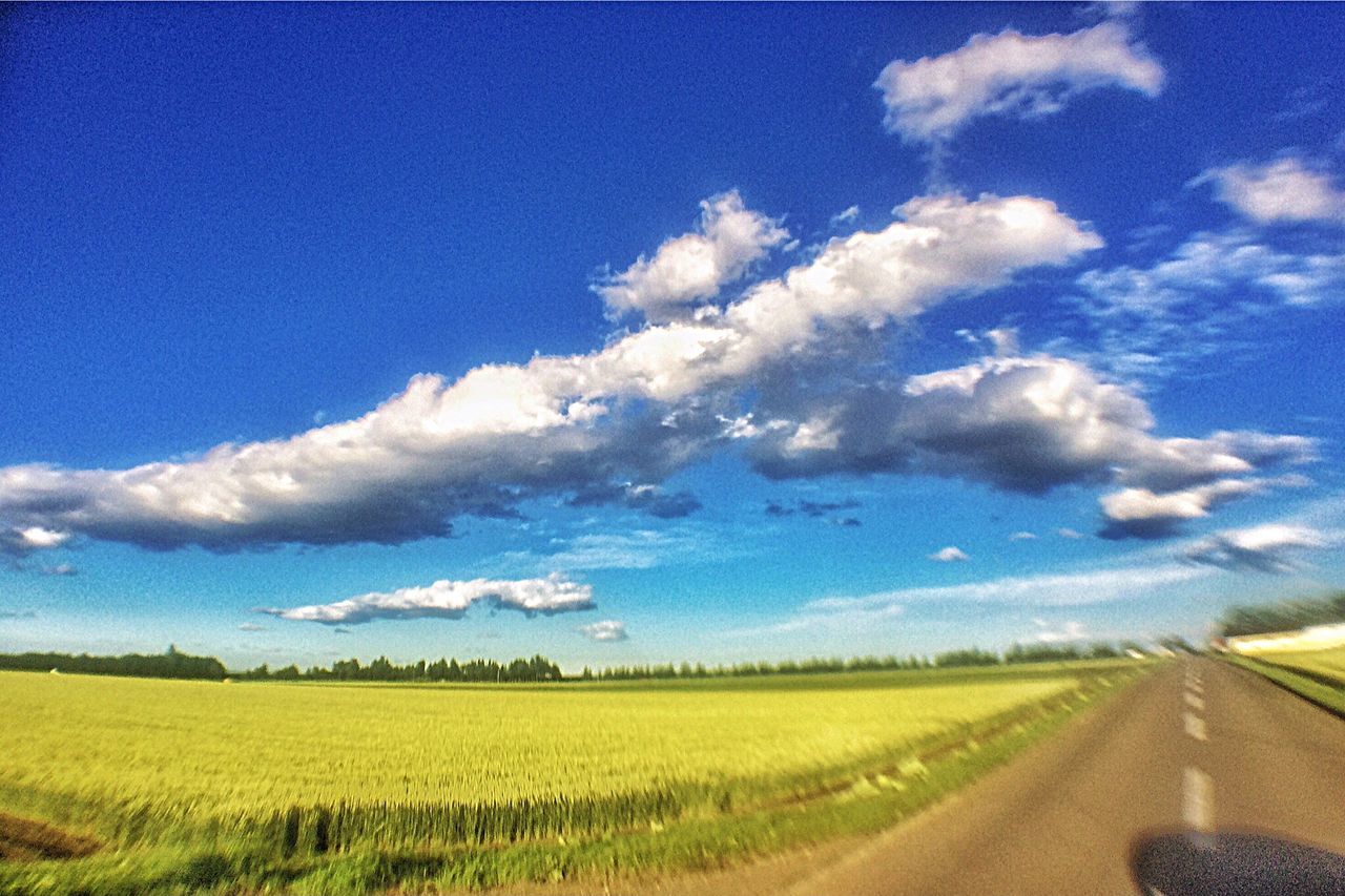 sky, landscape, field, tranquil scene, blue, road, tranquility, the way forward, rural scene, agriculture, scenics, cloud - sky, beauty in nature, nature, cloud, horizon over land, diminishing perspective, country road, growth, vanishing point, remote, outdoors, no people, day, non-urban scene, plant, cloudy, grass, idyllic