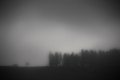 Trees against sky