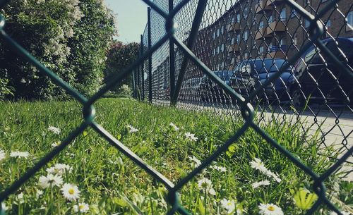 View of fence on field