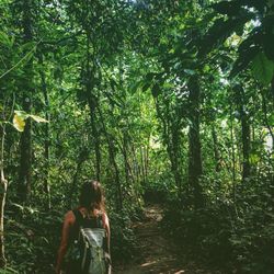 Rear view of woman amidst trees on trail at forest