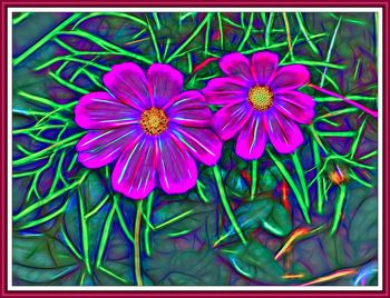 Close-up of pink flowers blooming outdoors