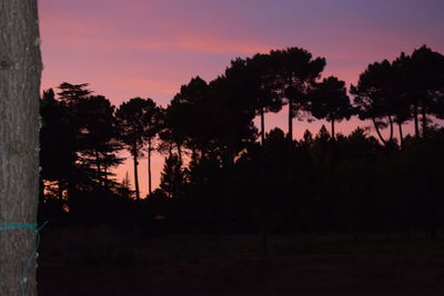 Silhouette trees against sky during sunset