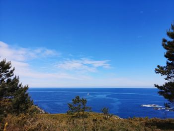 Scenic view of sea against blue sky