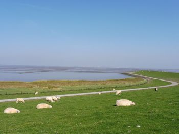 Scenic view of sea against clear sky