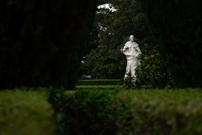 Man standing by tree