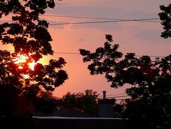 Low angle view of silhouette trees against sky during sunset