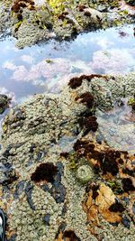 Rocks in water