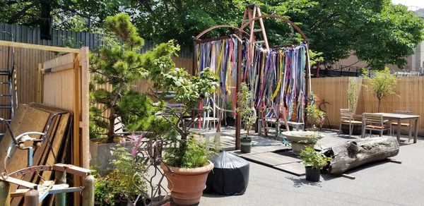 Potted plants in yard