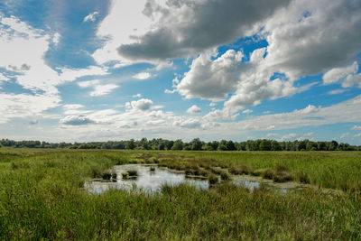 Scenic view of field by lake against sky