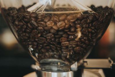 Close-up of coffee beans