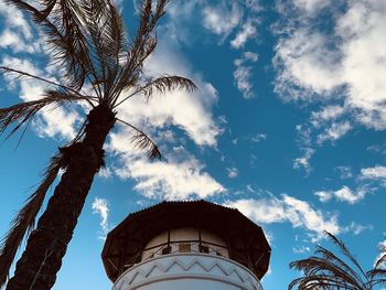 Low angle view of palm tree and building against sky