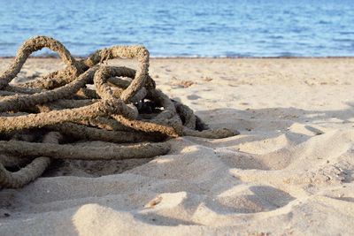 Close-up of rope on beach