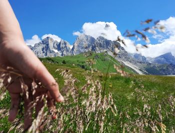 Woman holding hand among herbs on mountain background