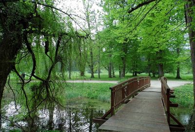 Trees in park against sky