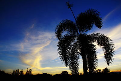 Low angle view of silhouette coconut palm trees against blue sky