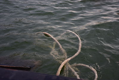 High angle view of rope in sea