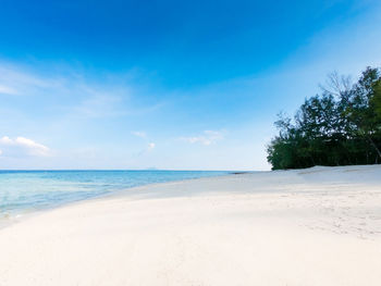 Scenic view of beach against blue sky