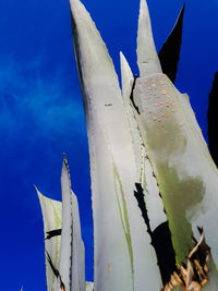 Low angle view of fish against blue sky