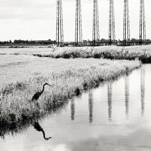 View of river against sky