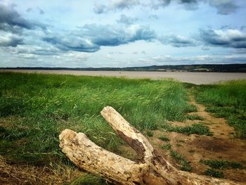 Scenic view of landscape against cloudy sky