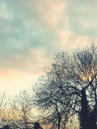 Low angle view of bare trees against cloudy sky