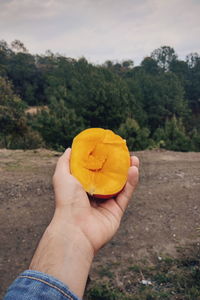 Cropped image of person holding yellow leaf