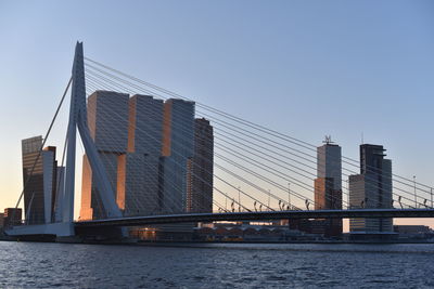 Erasmus bridge over river against buildings against clear sky in city