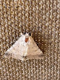 High angle view of paper over white background