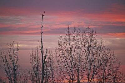 Silhouette bare tree against romantic sky at sunset