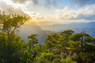 Scenic view of trees and mountains against sky