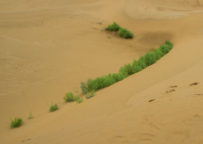 High angle view of sand dunes at beach