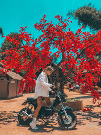 Bicycle against trees during autumn