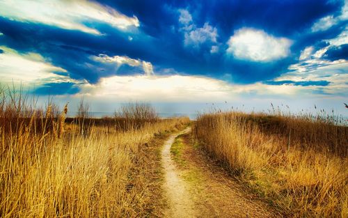 Scenic view of field against sky