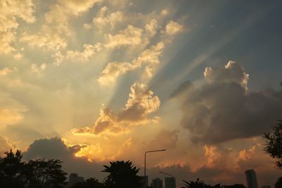 Low angle view of silhouette trees against dramatic sky