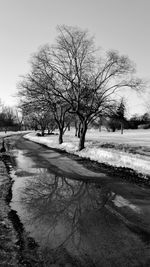 Bare trees by frozen lake against sky