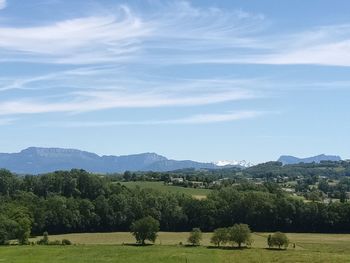 Scenic view of field against sky