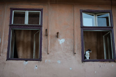 Window of a building