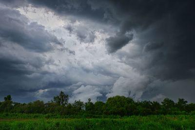 Scenic view of trees on field against storm clouds