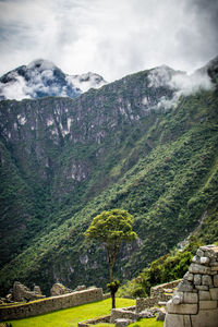 Scenic view of tree mountains against sky