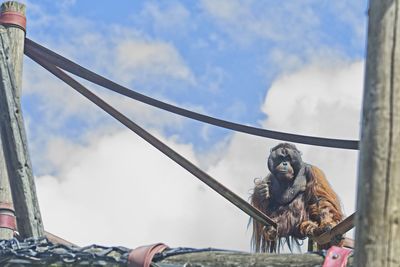 Low angle view of statue against sky