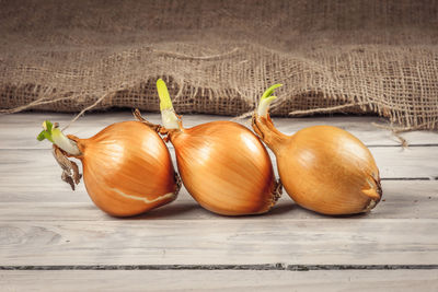 High angle view of onions on table