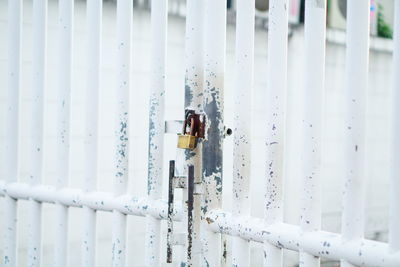 High angle view of person by railing during winter