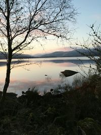 Scenic view of calm lake against sky