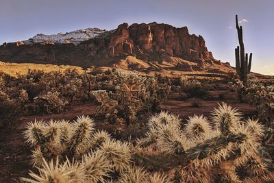 Scenic view of rock formations in desert against sky