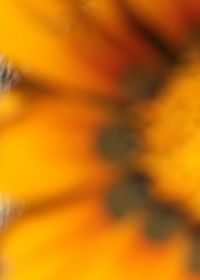 Full frame shot of orange sky